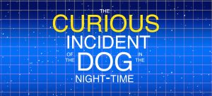 Scenic Projections for <i>The Curious Incident of the Dog in the Night-Time</i>
