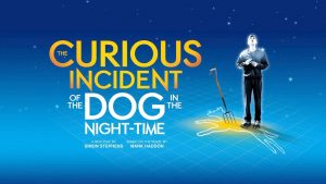 The Curious Incident of the Dog in the Night-Time