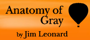 Scenic Projections for Anatomy of Gray