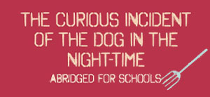 Scenic Projections for The Curious Incident of the Dog in the Night-Time Abridged for Schools$400 complete package